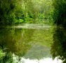 Mangrove Yoga Ashram - - Lismore Accommodation
