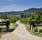 Pemberley Grange Hunter Valley Getaway - Lismore Accommodation