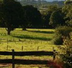Pines on the Plateau - Lismore Accommodation