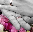 Salisbury Lodges and Araluen Restaurant - Lismore Accommodation