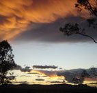 Silkwood B and B - Lismore Accommodation