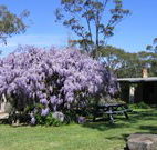 Studio Cottages - Lismore Accommodation