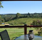 The Shed B and B - Lismore Accommodation