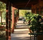 The Vineyard Motel - Lismore Accommodation