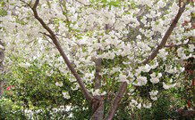 Valley Of The Waters Bed And Breakfast - Lismore Accommodation 7