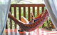 Bellingen YHA: The Belfry Guesthouse - thumb 5
