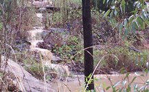 Wollongong Backpackers Keiraleagh - Lismore Accommodation 2