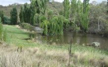 Cedar Grove - Lismore Accommodation 0