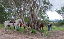 In Essentia Healing Hut Of Kangaroo Valley - Lismore Accommodation 1