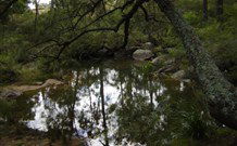 In Essentia Healing Hut Of Kangaroo Valley - Lismore Accommodation 0