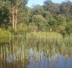 Fosterton Lodge Retreat - Lismore Accommodation