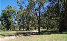Lake Tabourie Holiday Park - Lismore Accommodation 6