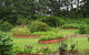 Misty Glen Cottage - thumb 7