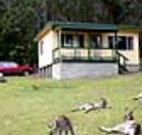 Port Pitstop Cottage - Lismore Accommodation