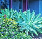 Retreat Homestead - Lismore Accommodation