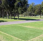Spotted Gums on Hermitage - Lismore Accommodation