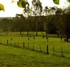 Stone Cottage Mittagong - Lismore Accommodation