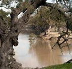 Valley View Cottage Hunter Valley - Lismore Accommodation