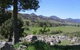 Woolshed Hill Estate - thumb 0