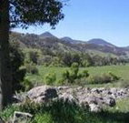 Woolshed Hill Estate - Lismore Accommodation