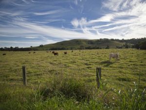 Goolmangar NSW Lismore Accommodation