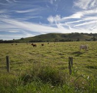 Annas Retreat - Lismore Accommodation