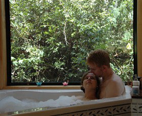 Ravensbourne Forest Chalets - Lismore Accommodation 0