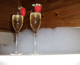 Ravensbourne Forest Chalets - Lismore Accommodation 1