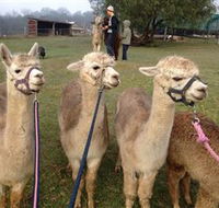 Bunyip Springs Farmstay - Lismore Accommodation