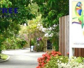 At The Mango Tree - Lismore Accommodation 0