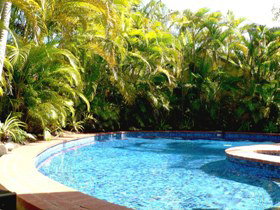 At The Mango Tree - Lismore Accommodation 1