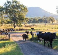 Tommerups Dairy Farmstay - Lismore Accommodation