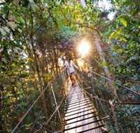 O'Reilly's Rainforest Retreat - Lismore Accommodation