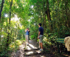 O'Reilly's Rainforest Retreat - Lismore Accommodation 2