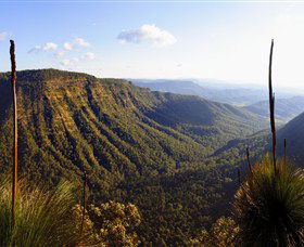 O'Reilly's Rainforest Retreat - Lismore Accommodation 3