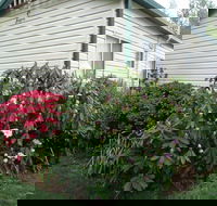 Jenolan Caravan Park - Lismore Accommodation