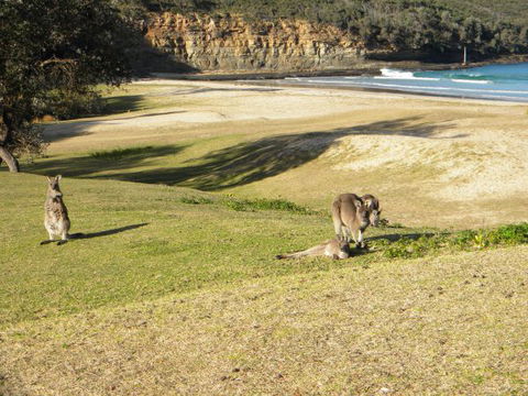 Creel Lodge - Lismore Accommodation 13