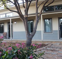 The Grape and Olive in Willunga - Lismore Accommodation