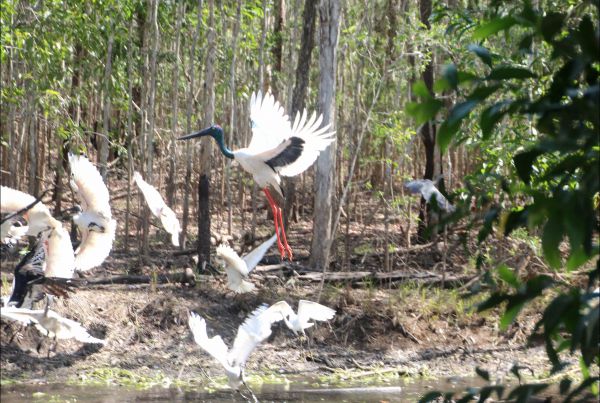 Humpty Doo NT Lismore Accommodation