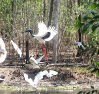 Rakhi Retreat - Lismore Accommodation