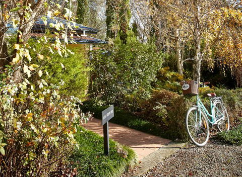 Pizzini's Vineyard Guesthouse - Lismore Accommodation 5