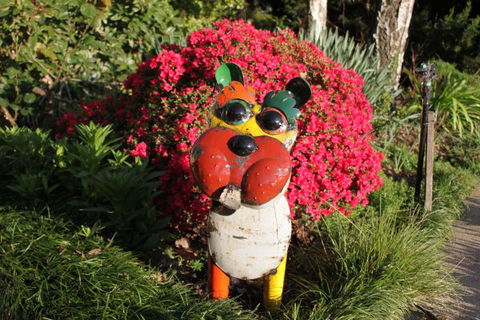 Pizzini's Vineyard Guesthouse - Lismore Accommodation 7