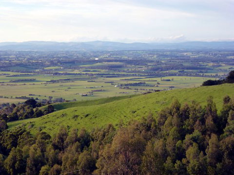 Anderley - Lismore Accommodation 6