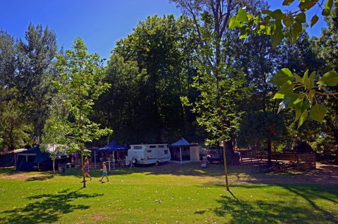 Ardern's Caravan Park, Myrtleford - Lismore Accommodation 0