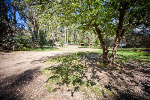 Beechworth Holiday Park - Lismore Accommodation 3