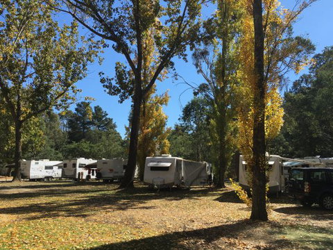 Beechworth Holiday Park - Lismore Accommodation 5