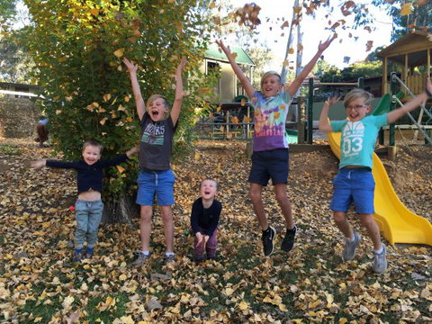 Beechworth Holiday Park - Lismore Accommodation 8