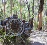 Kroombit Tops National Park Camping Ground - Lismore Accommodation