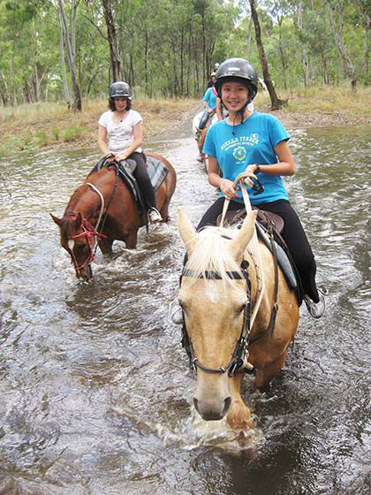 Billabong Ranch - Lismore Accommodation 7