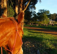 Billa Billa Farm Cottages - Lismore Accommodation